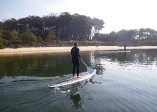Paddle Surf